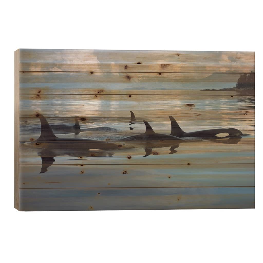 Orca Group, Johnstone Strait, British Columbia, Canada Print On Wood by Flip Nicklin - Multi-Color