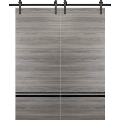 Sturdy Double Barn Door 36 x 80 with Planum 0012 Grey Matte with 13FT