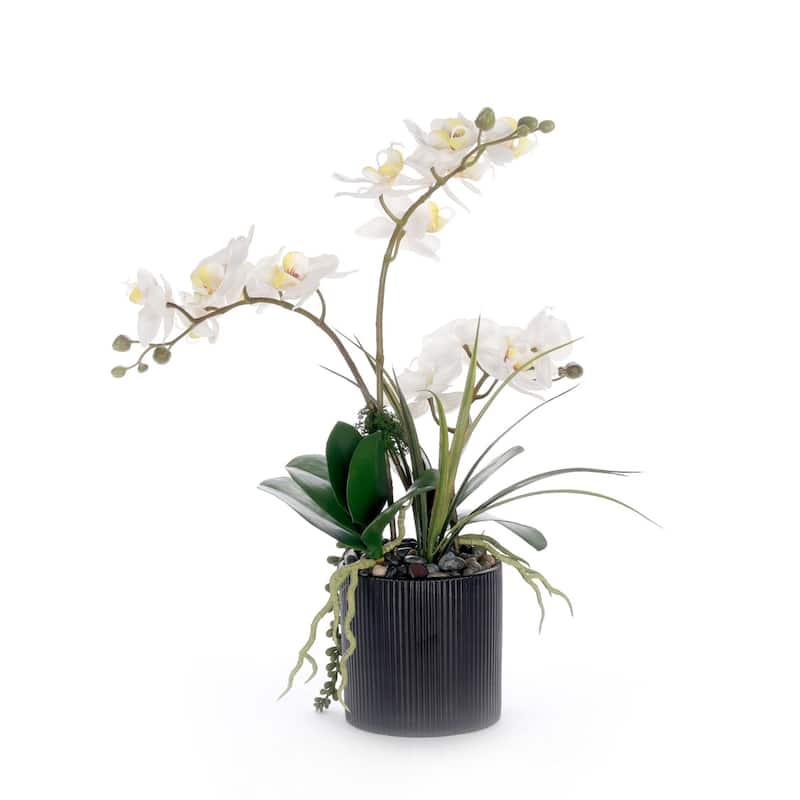 Real Touch White Orchid Flower Arrangement in Black Pot