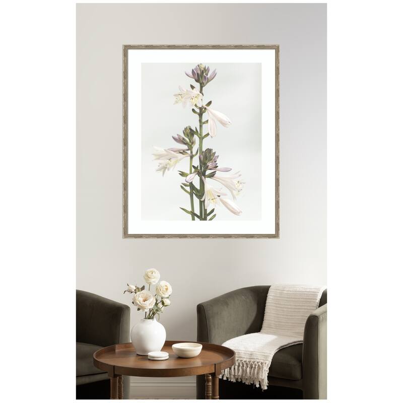 Kate and Laurel Framed Art Hosta by Alicia Abla