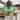River of Goods Izzy 3-blade 42-inch Modern Indoor Ceiling Fan with Green Hand-Cut Glass Shade and Remote Control