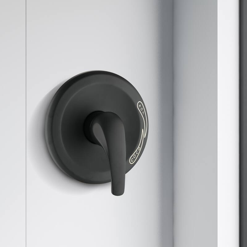 PROOX Commercial Single Handle 2-Function Shower Faucet Valve