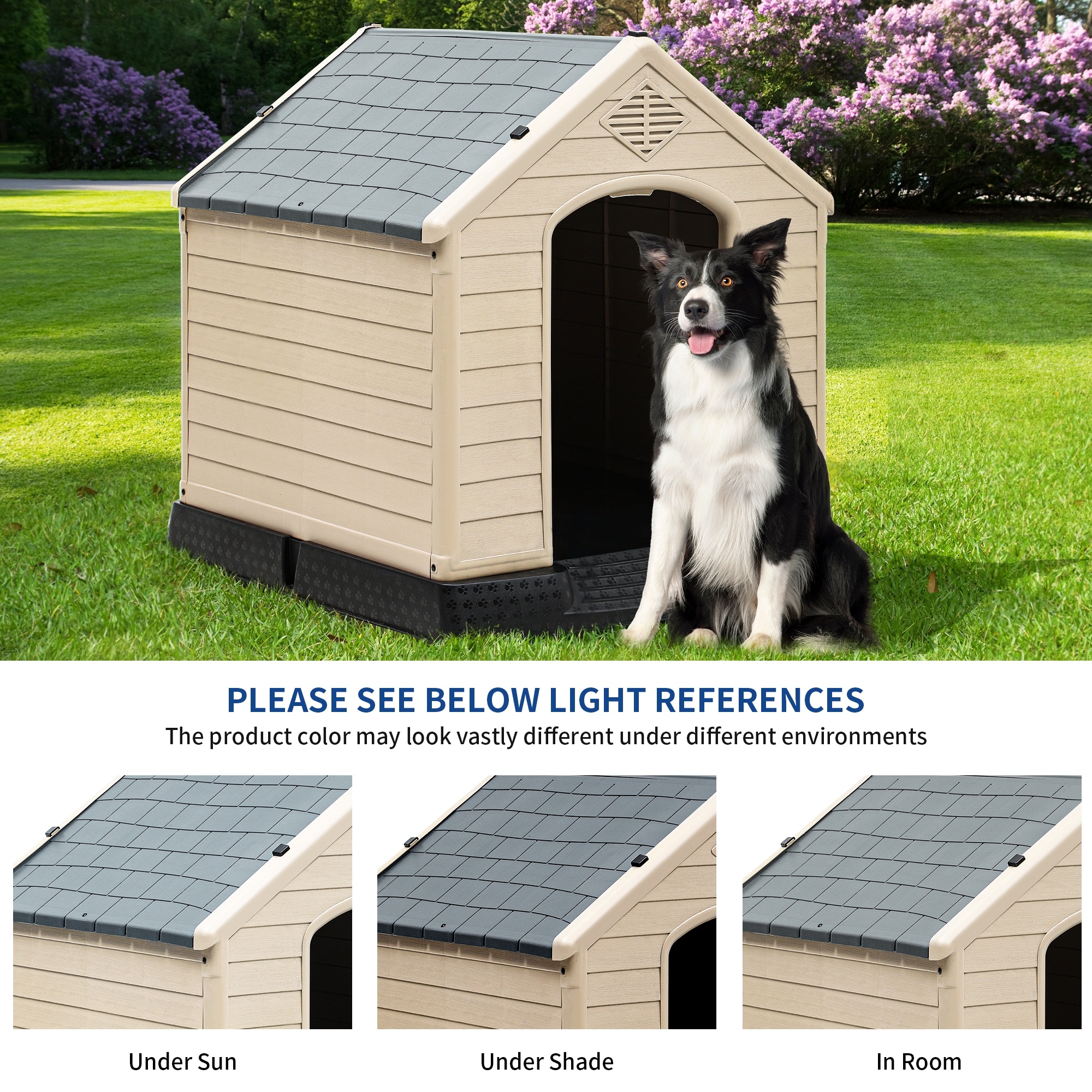 Bed bath beyond dog clearance