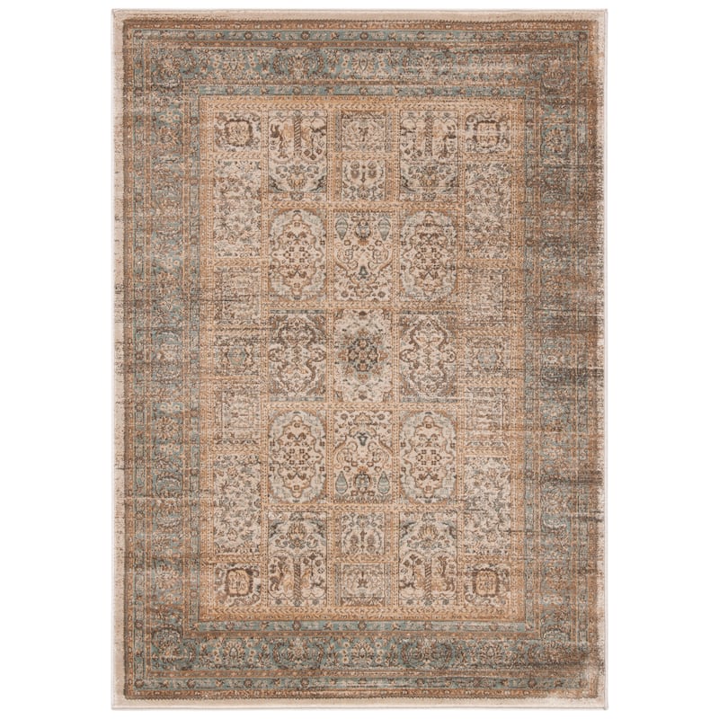SAFAVIEH Vintage Distressed Boho Charity Oriental Rug