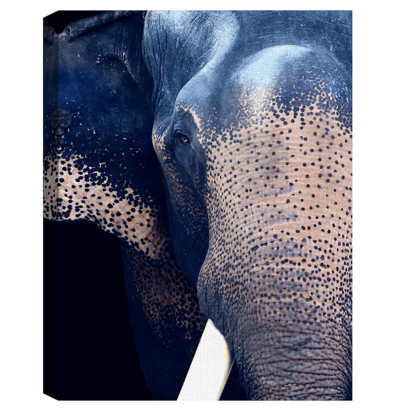 Titan by Belle Maison Canvas Art Print