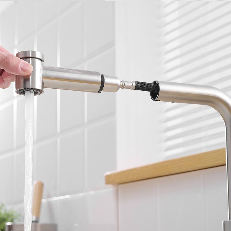 Single Handle Kitchen Faucet with Pull Out Spray