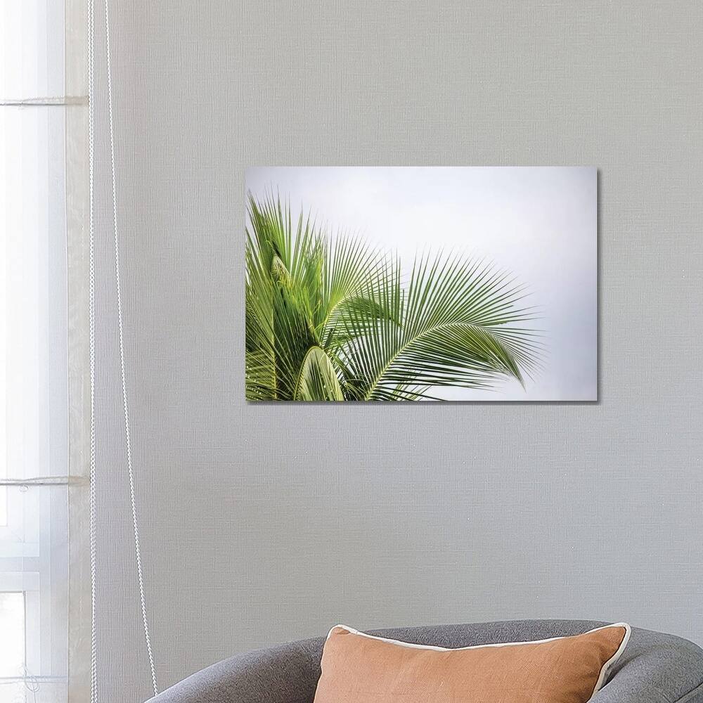 iCanvas "Palm Tree" by Mark Paulda Canvas Print