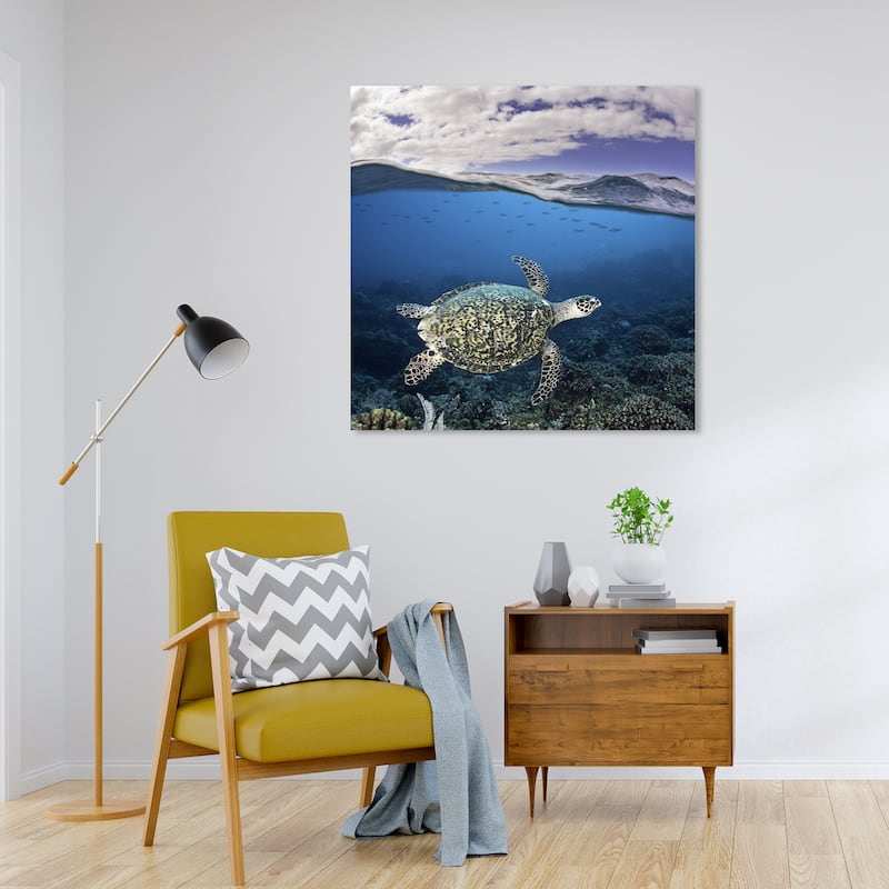 Wynwood Studio Canvas Animals David Fleetham - Hawksbill Turtle Blue and Emerald Nautical & Coastal Wall Art Canvas Print - 30 x 30