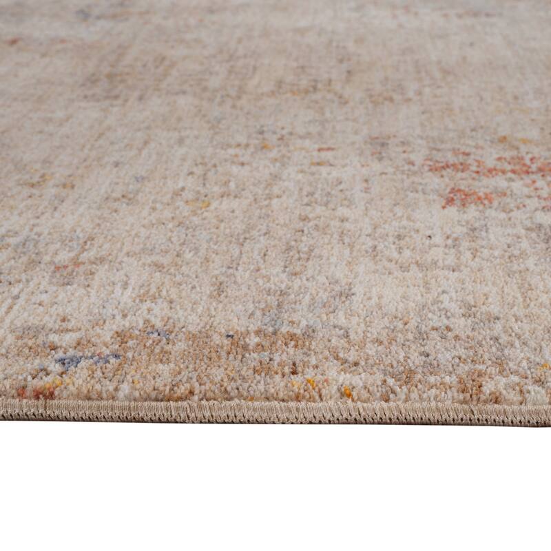 HomeRoots Abstract Traditional Rectangle Area Rug