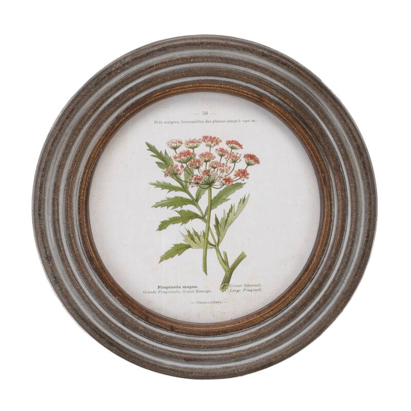 Round Framed Floral Print (Set of 6)