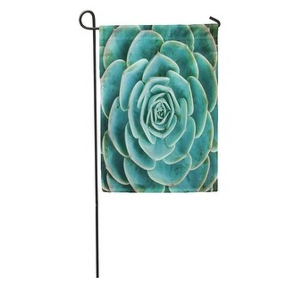 Shop Blue Agave Arrangement Of The Succulents Cactus ...