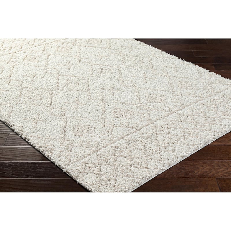 Livabliss Maryland Shag Modern & Contemporary Solid Area Rug