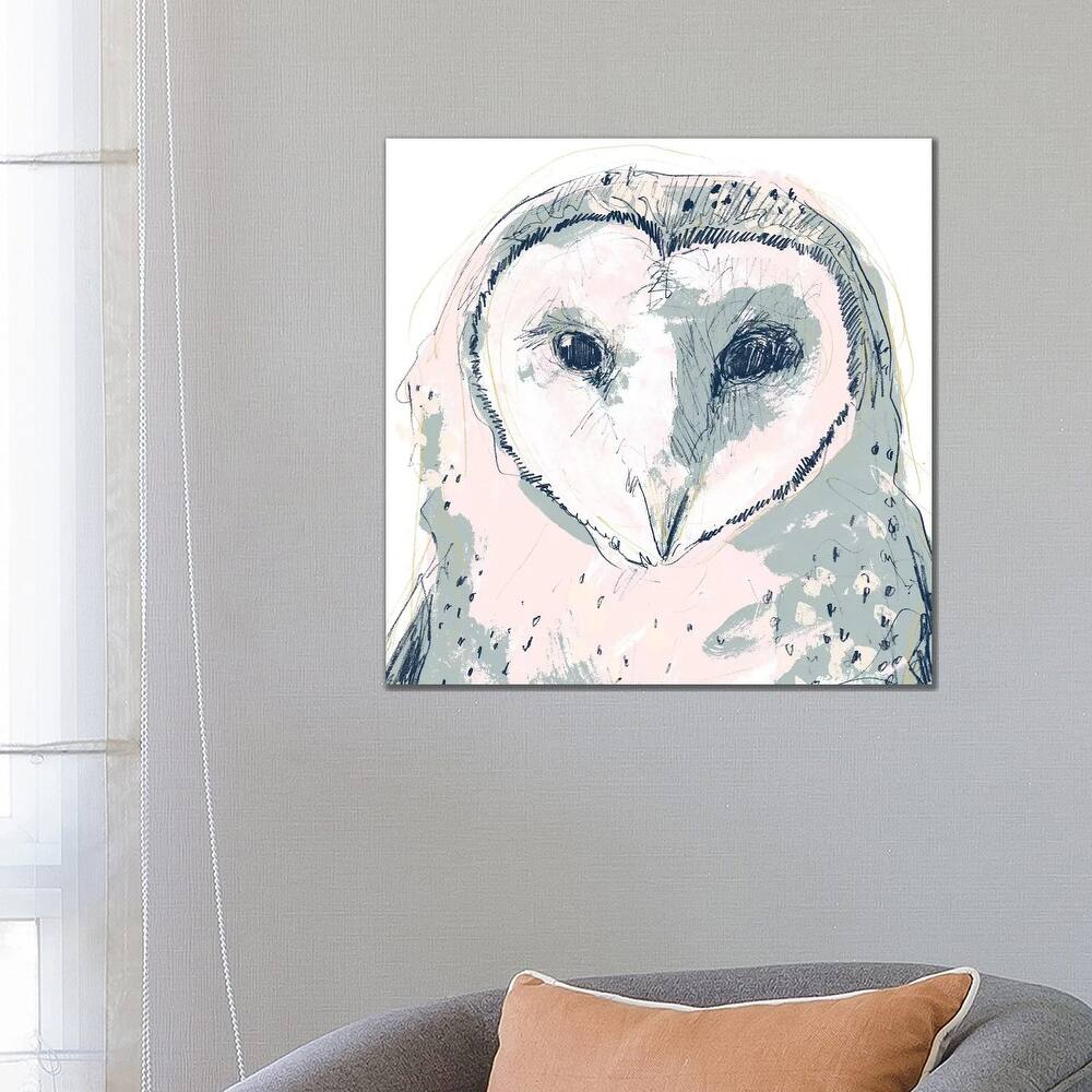 iCanvas "Funky Owl Portrait I" by June Erica Vess Canvas Print