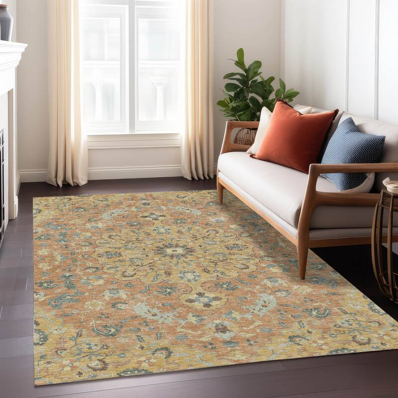 Machine Washable Indoor/ Outdoor Traditional Indore Chantille Rug