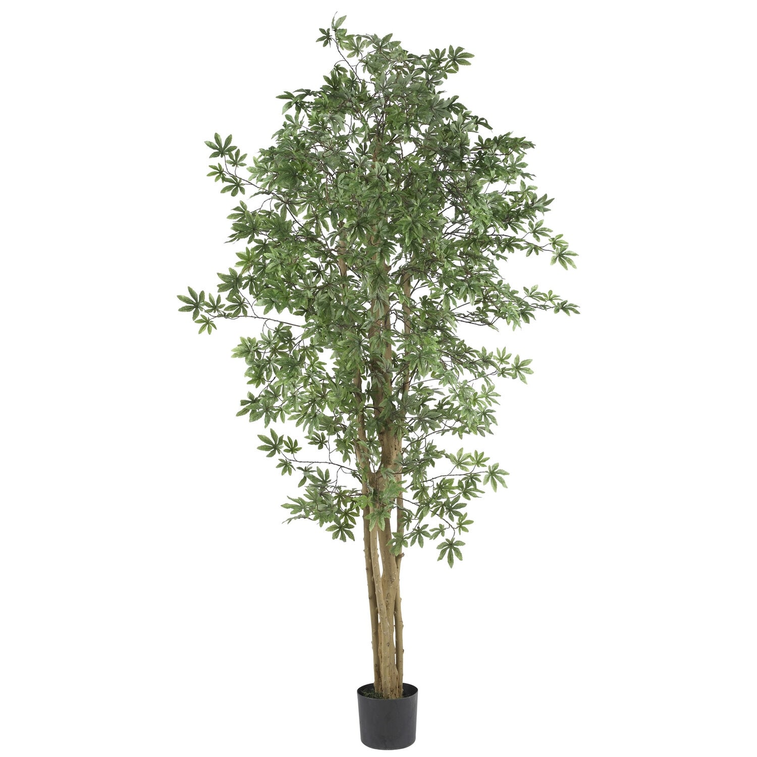 Silk Bonsai Tree 24In - Realistic Faux Plant for Home Office Decor - Green - 72