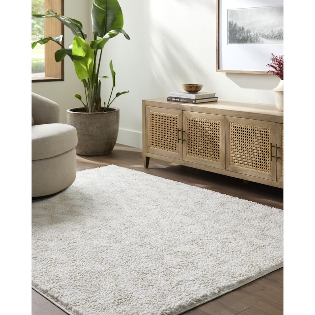 Livabliss Sacramento Shag Modern & Contemporary Area Rug