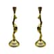 Option Gold
