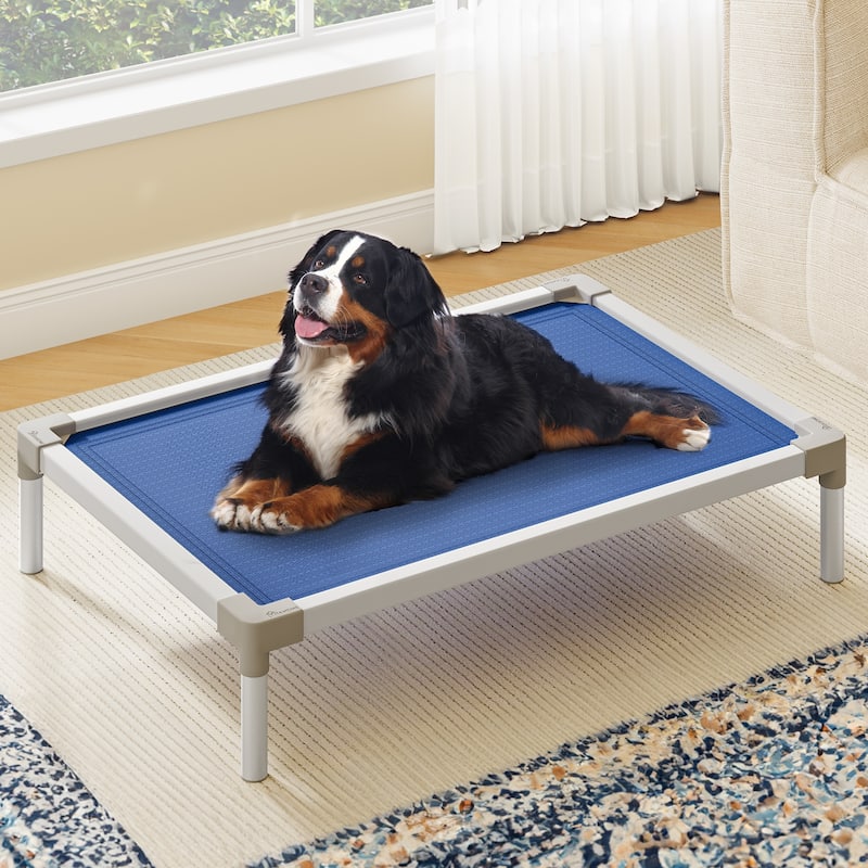 Moasis Textilene Dog Bed, with Aluminum Frame