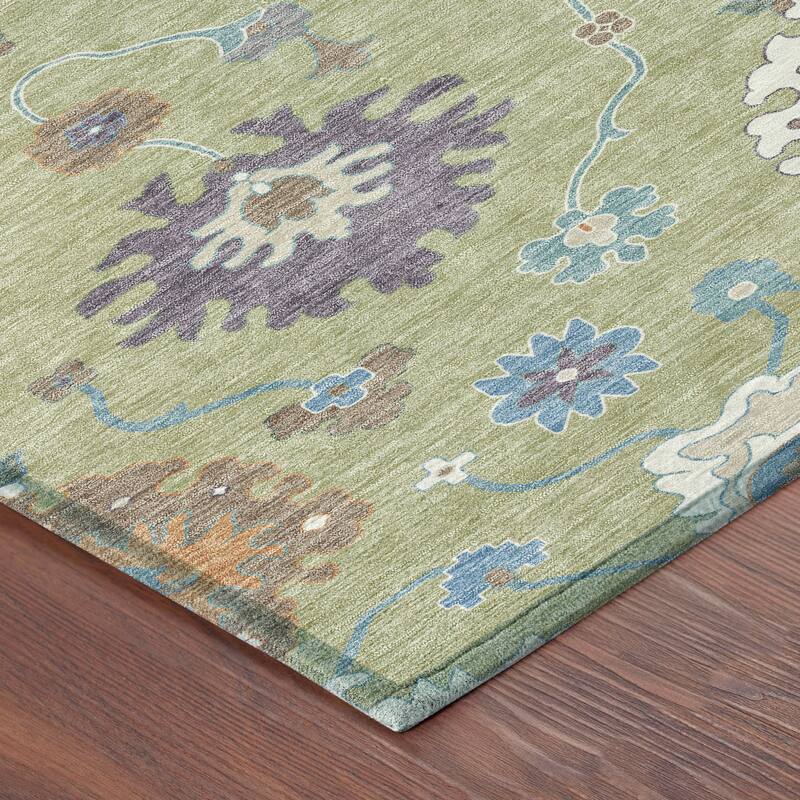 Machine Washable Indoor/ Outdoor Traditonal Delhi Chantille Rug
