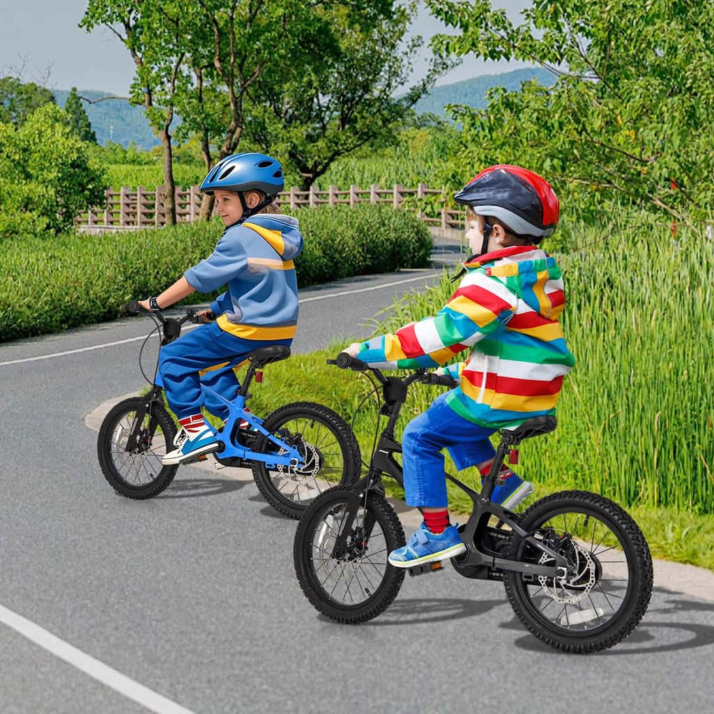 Alloy Sporty Bicycle w/Dual Disc Brakes Removable Training Wheels