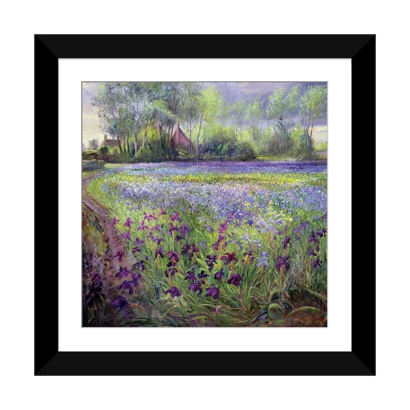 iCanvas "Trackway Past The Iris Field, 1991" by Timothy Easton - Black - 24x24x1