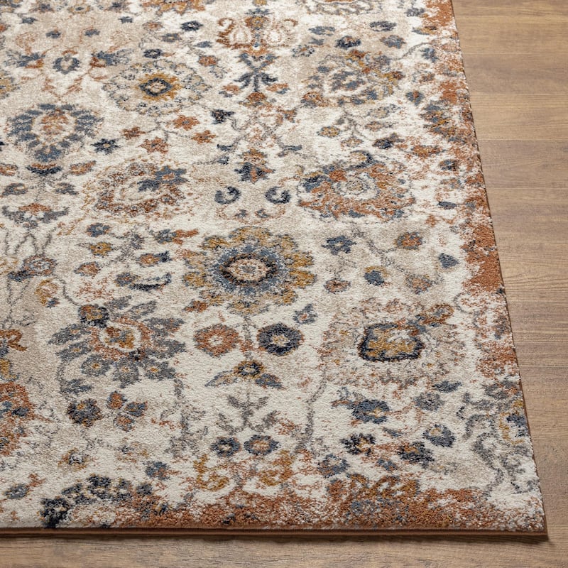 Keira Updated Traditional Medallion Area Rug