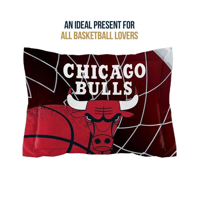 NBA Chicago Bulls Officially Licenced Comforter & Sham set