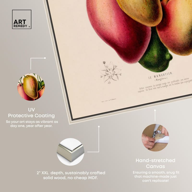 Mangoes by Etienne Denisse Canvas by Art Remedy