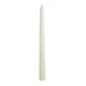 Option Ivory