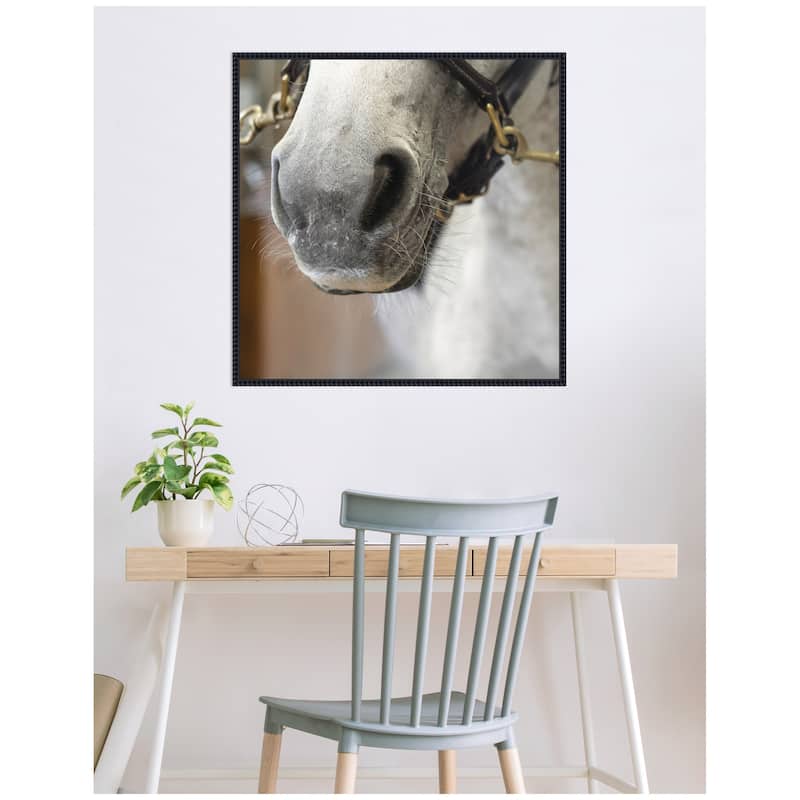 Kate and Laurel Barn Day Horse by Emiko and Mark Franzen F2 Images Framed Canvas Wall Art Print