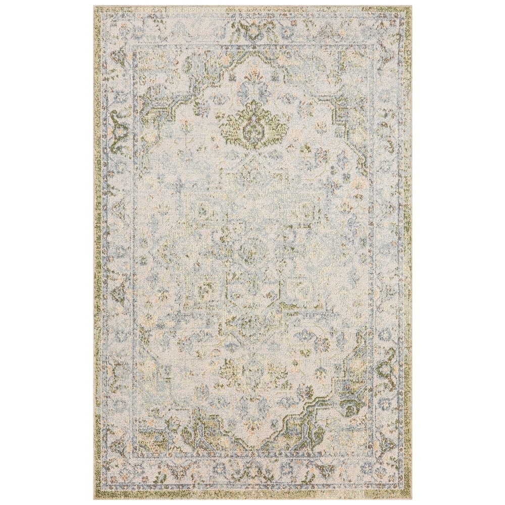 Nourison Astra Machine Washable Distressed Area Rug