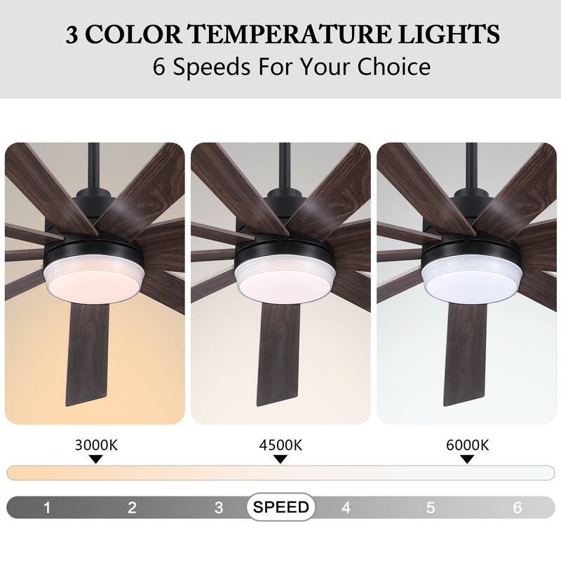 WINGBO 65/72 inch DC Motor Indoor Ceiling Fan with Light & Remote...
