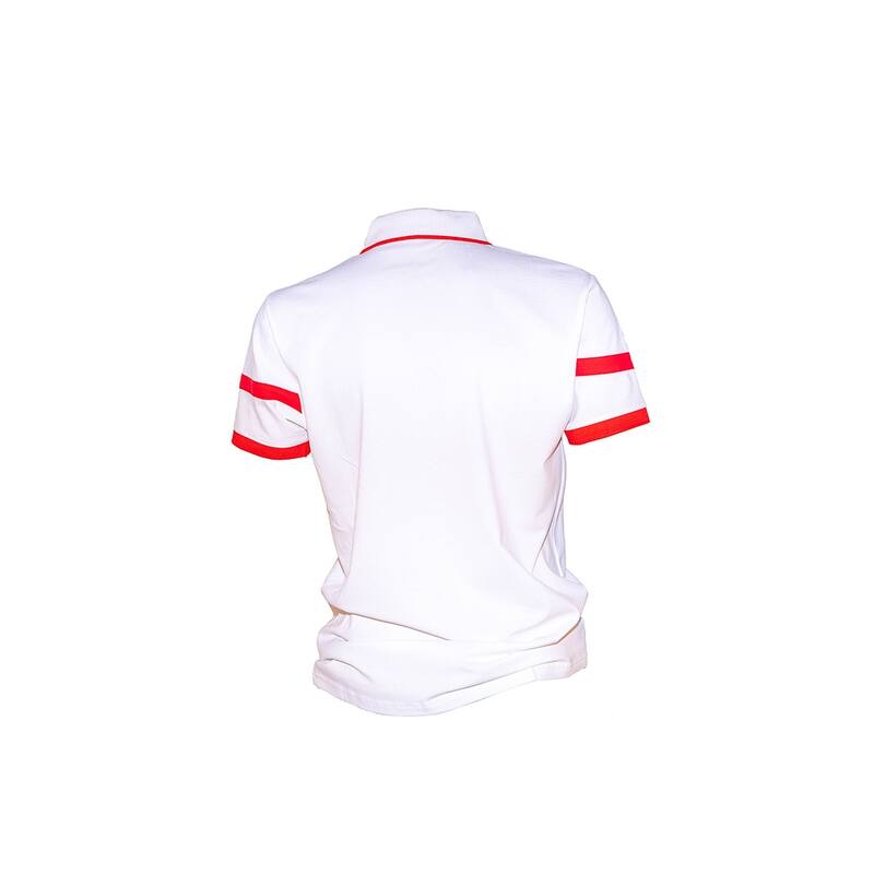 Drakkar Viking Regular Fit Polo Shirt by Alison Nautical