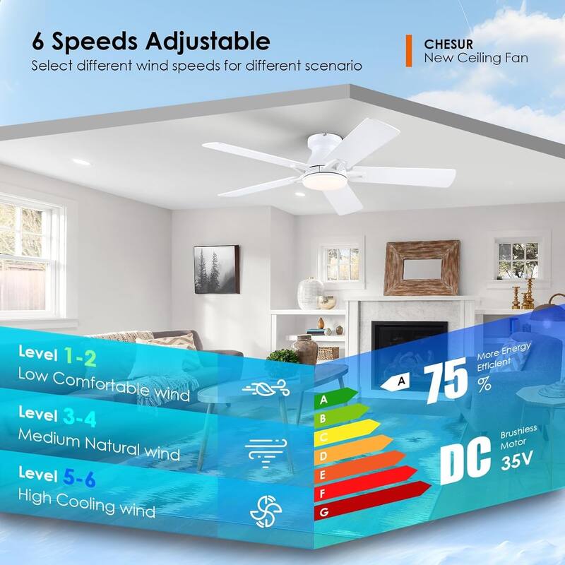52 Inch Ceiling Fan with Light and Remote,Flush Mount Ceiling Fan,5 Dual Side Blades - 52 Inches