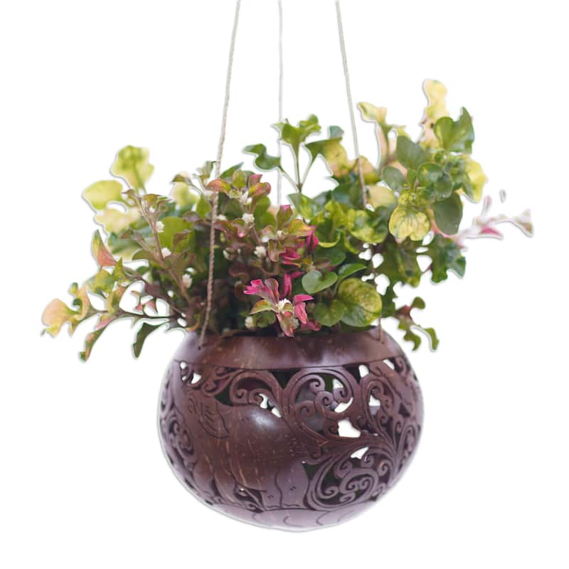 Novica Handmade Tropical House In Elephant Coconut Shell Hanging Planter