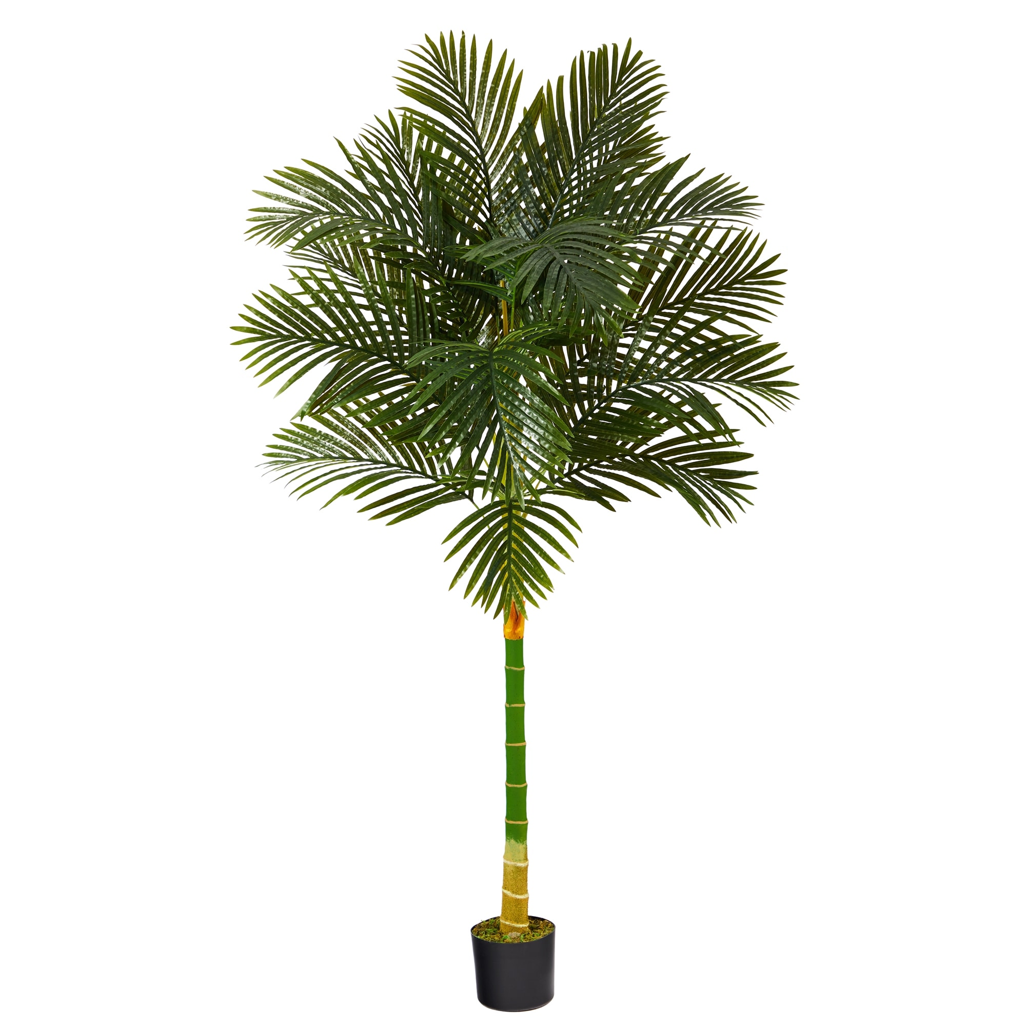 6' Golden Cane Artificial Palm Tree - 6"