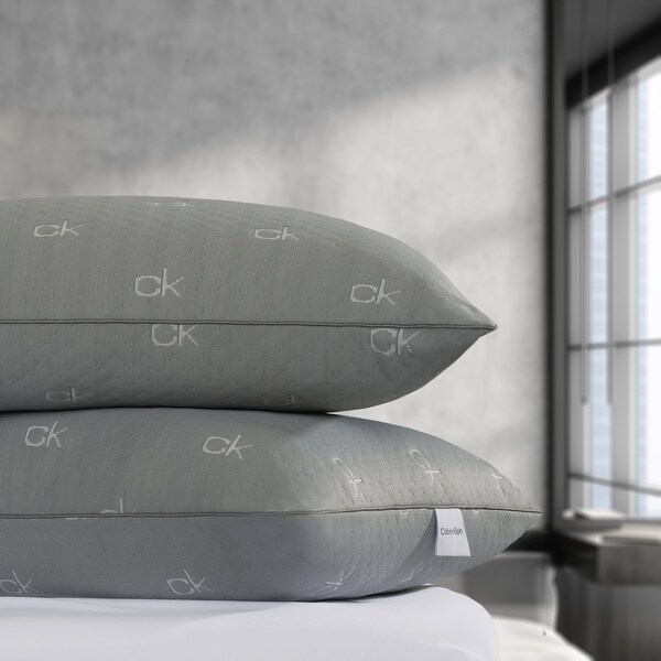 Charcoal pillow bed bath and beyond clearance