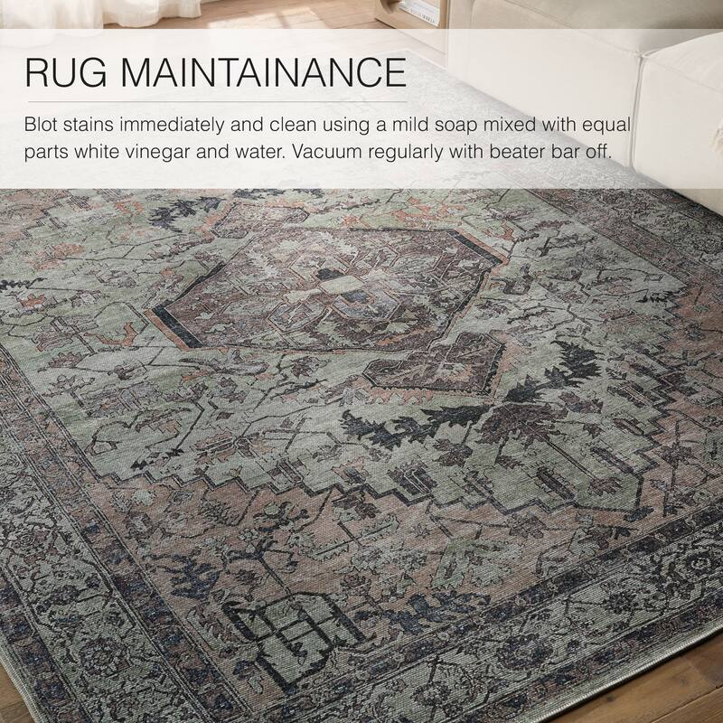 Abbott Machine Washable Medallion Area Rug