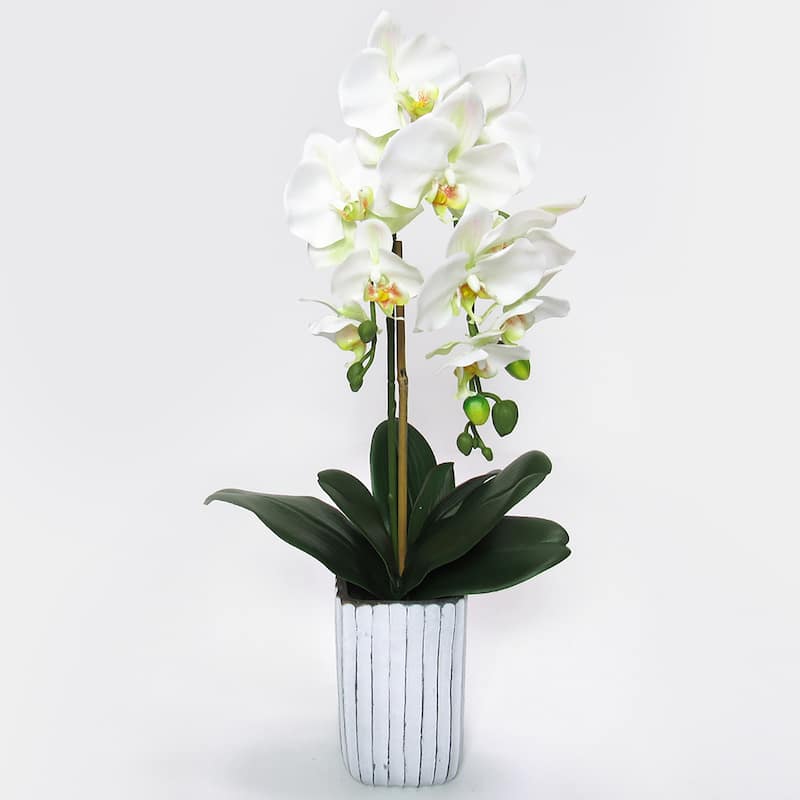 Cream White Artificial Phalaenopsis Orchid Flower Arrangement in Tall Embossed Stripe Ceramic Pot 26in - 26" H x 9" W x 8" DP