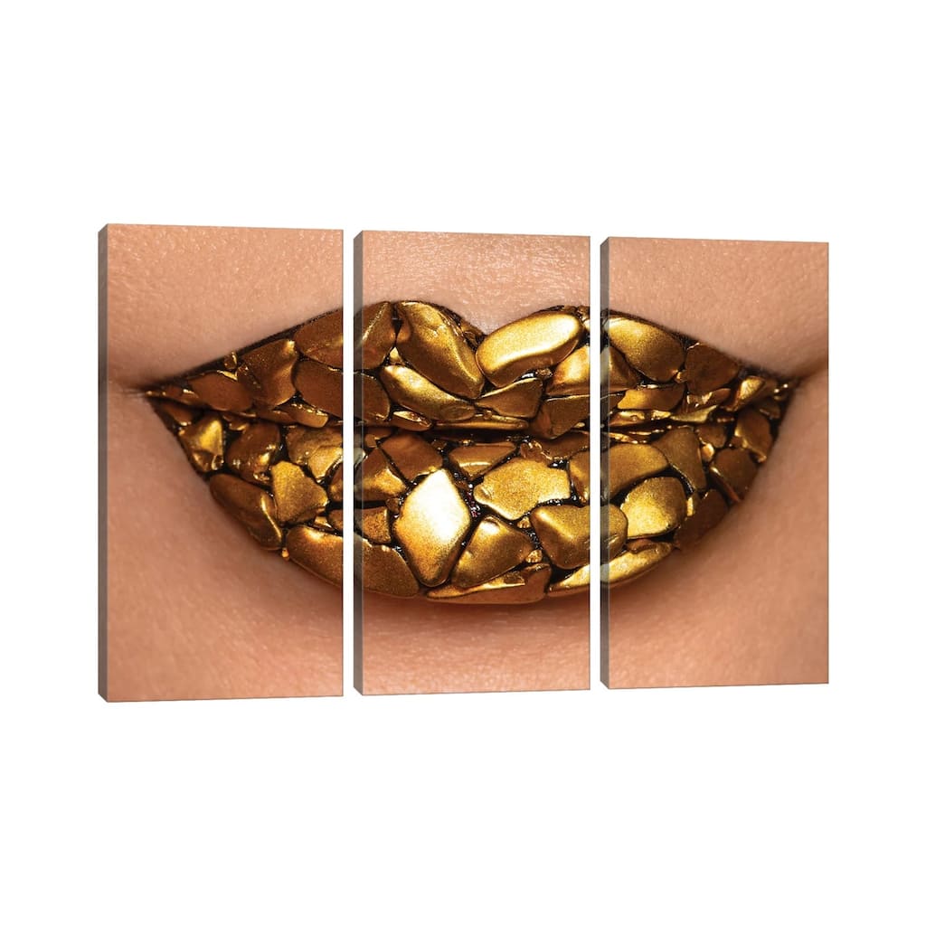 iCanvas "Fools Gold" by Vlada Haggerty 3-Piece Wall Art Set