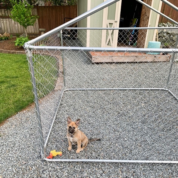Dog on sale kennel boxes