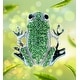 preview thumbnail 2 of 5, CoTa Global Frog Sparkling Refrigerator Magnet with Crystals - 1.75 Inch