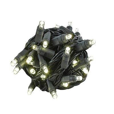 50 Light Twinkle LED Christmas Mini Light, Warm White, Black Wire, 25’ Long - Warm White (Black Wire)