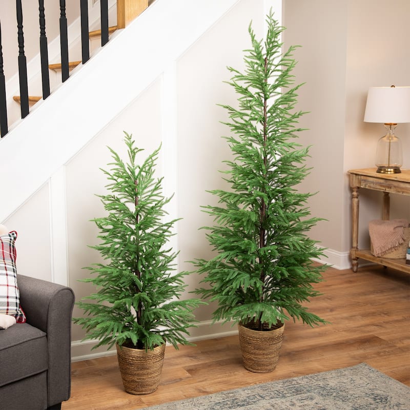 Medium Norfolk Pine Artificial Potted Christmas Tree