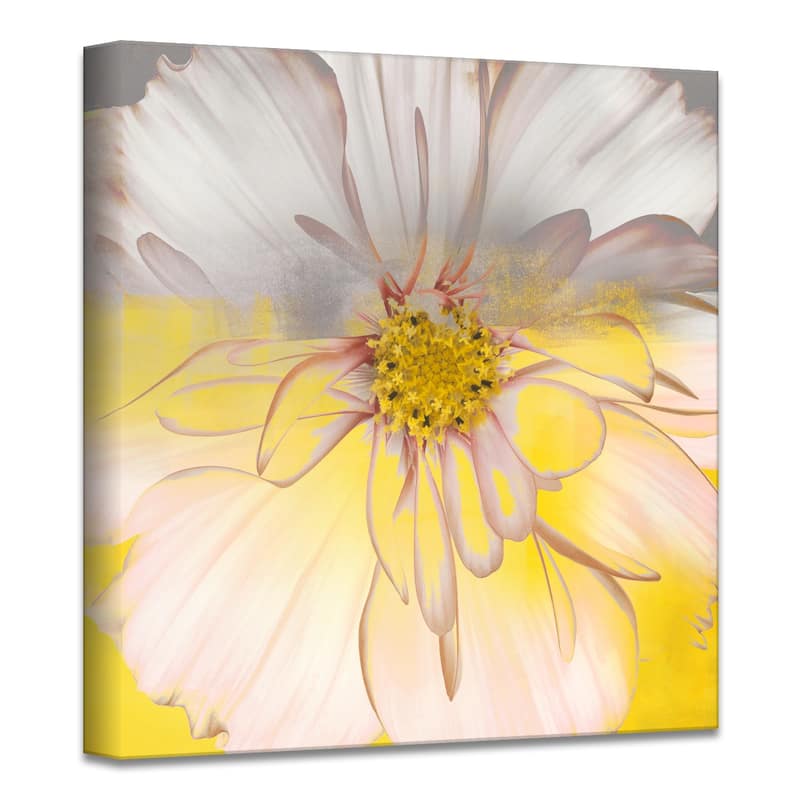 Silver Orchid Wayne 'Painted Petals' Canvas Art