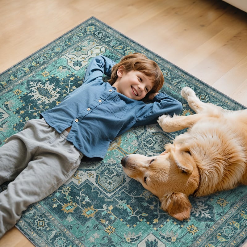 Mcow Low Pile Machine Washable Non-Slip Area Rug - 3'X4'