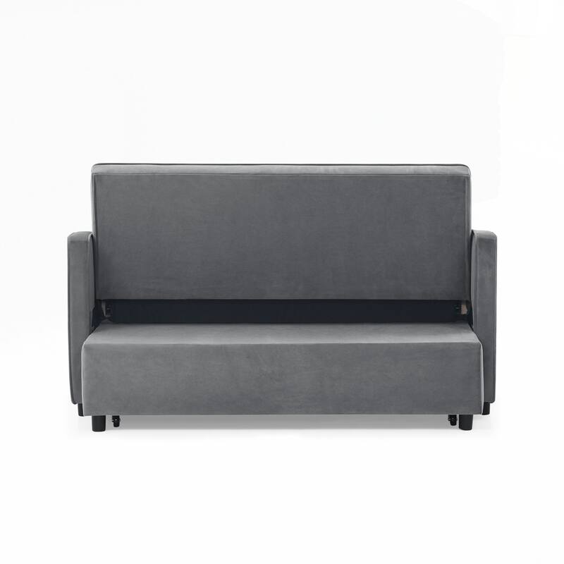 Loveseats Sofa Bed with Pull-out Bed AND Adjsutable Back - 2 Seat