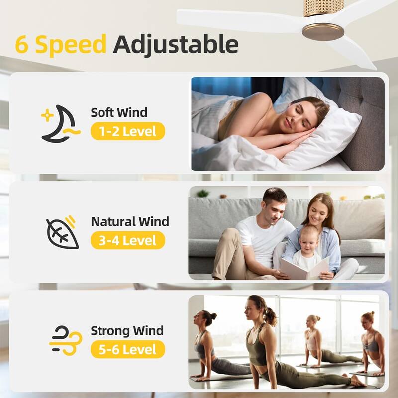 MLiAN 48" Ceiling Fan Low Profile Flush Mount Fan 6 Speed