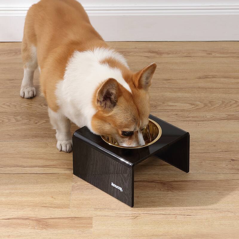 Keaton 5" Small/Medium Modern Lucite Rectangular Elevated Pet Feeder with 20oz 2-Stainless Steel Bowls