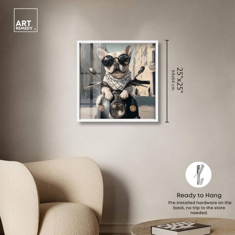 Frenchie on a Scooter Drive Shadowbox by Art Remedy